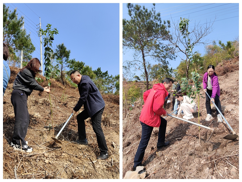 光影魔術(shù)手拼圖